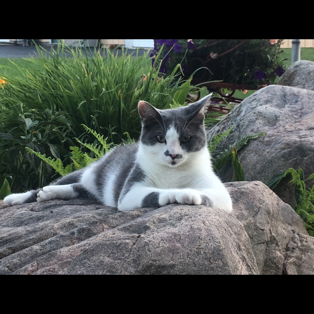 Meet your Posher, Sue